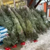 106 chrismas tree amerian sale​